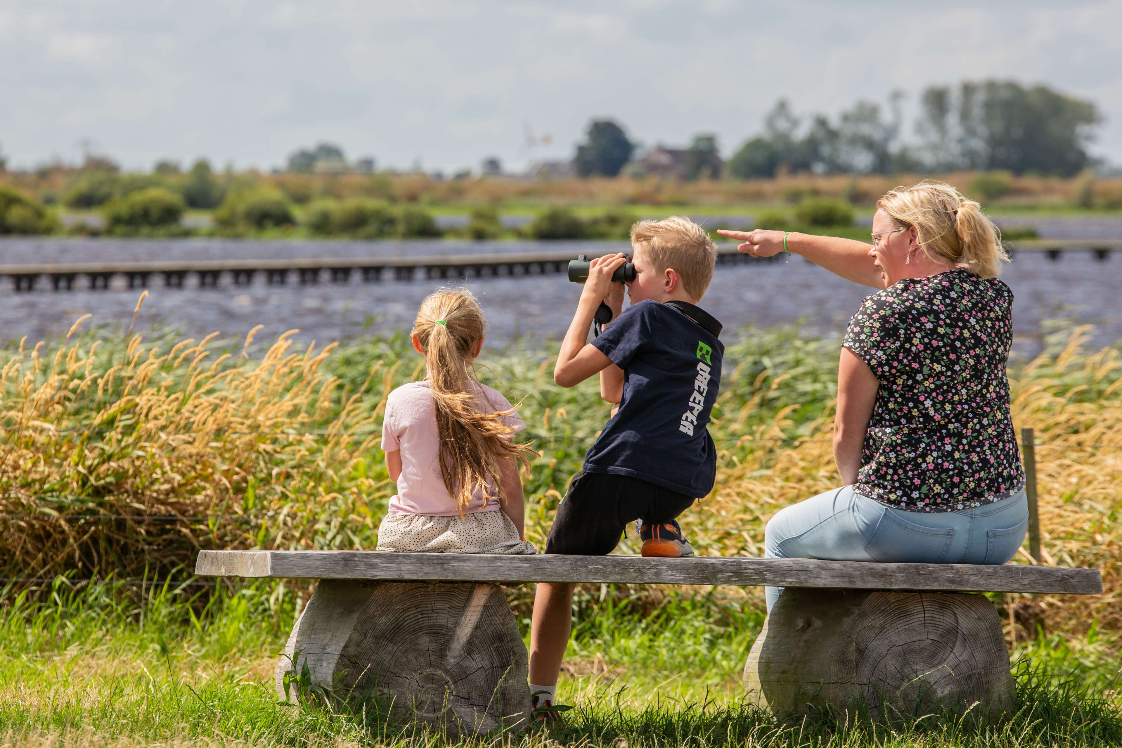 Generieke afbeelding voor image content