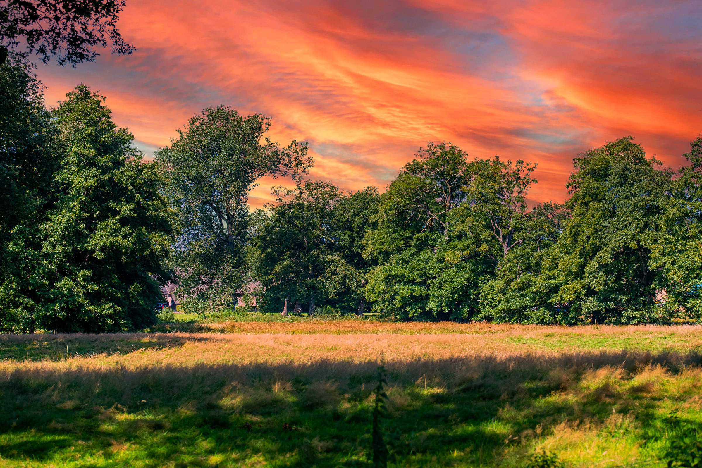 Generieke afbeelding voor image content