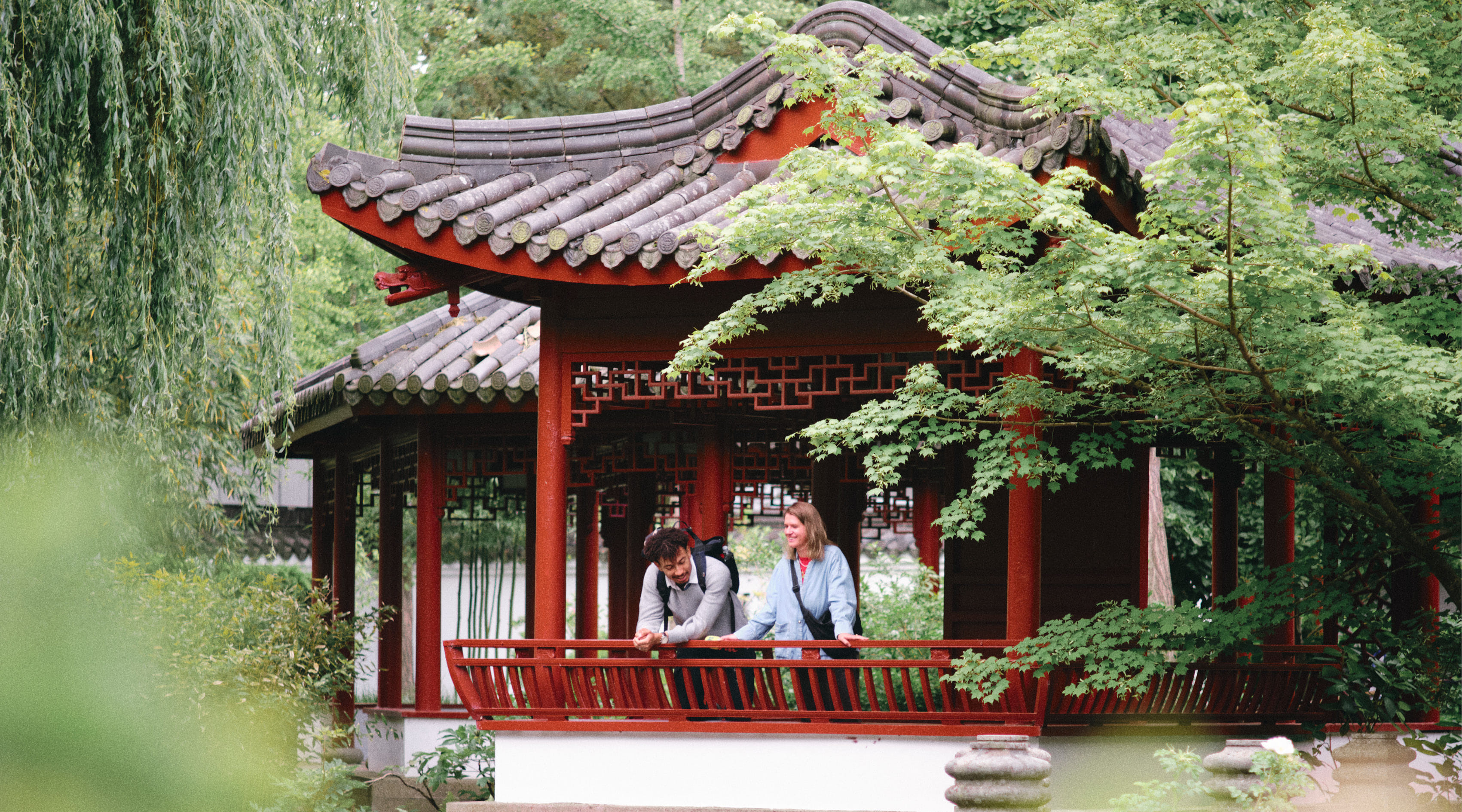 Generieke afbeelding voor image content