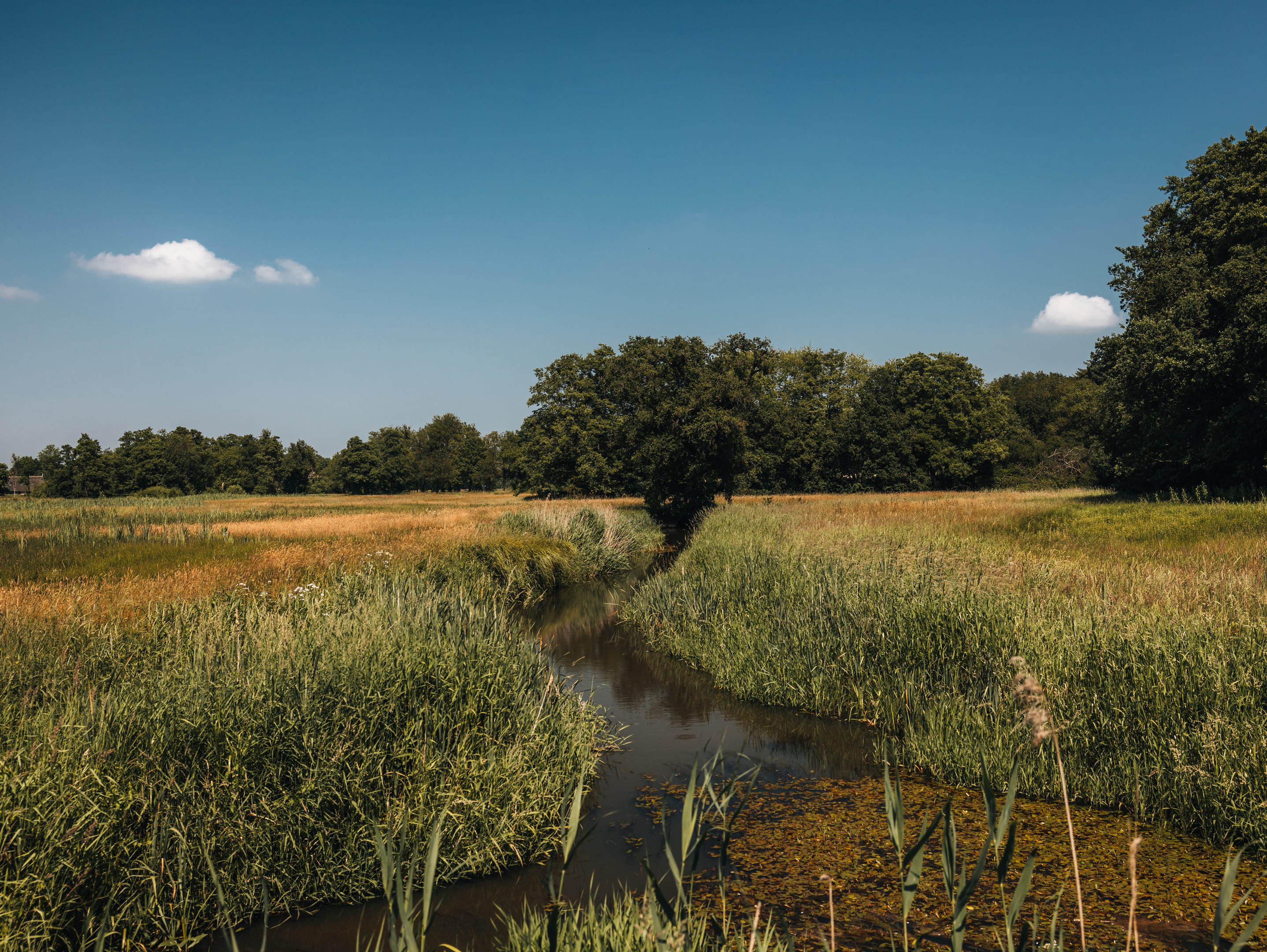 Generieke afbeelding voor image content